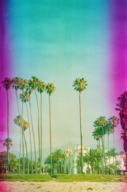 February 16, 2023 Kodak Color Plus 200-5-2.jpg