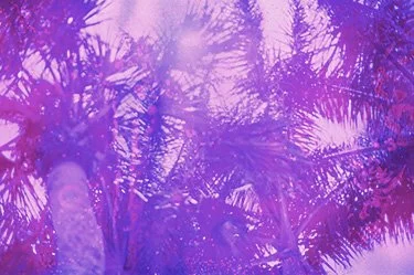 Soup.July 1 2022 Superia XTRA 400b-111 copy 2.jpg