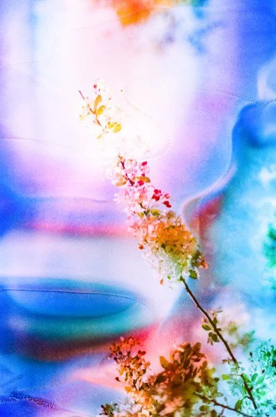 July 11 2024 Fuji 200-54 copy.jpg