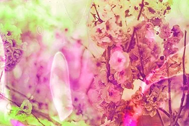 Soup.CB.9987 copy 2.jpg