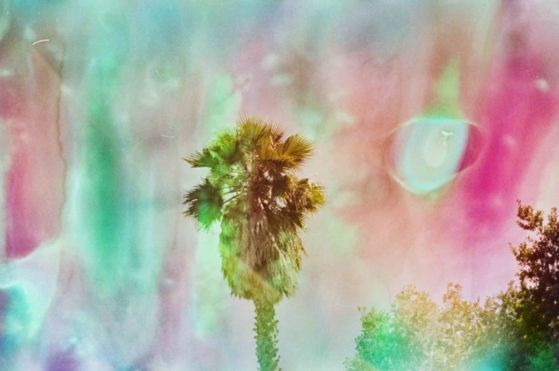 October 5 2023 Fuji 200 September-142.jpg