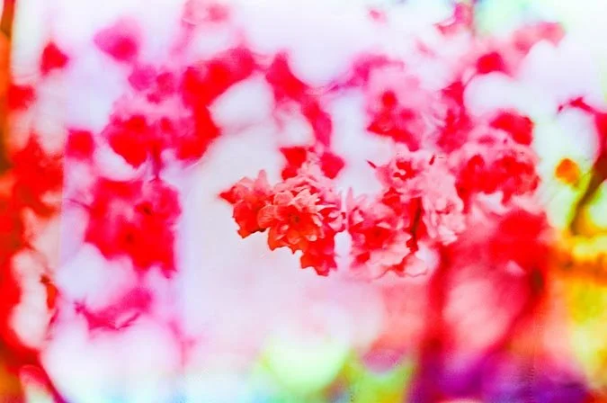 April 16 2024 Ektar-25 copy 3.jpg