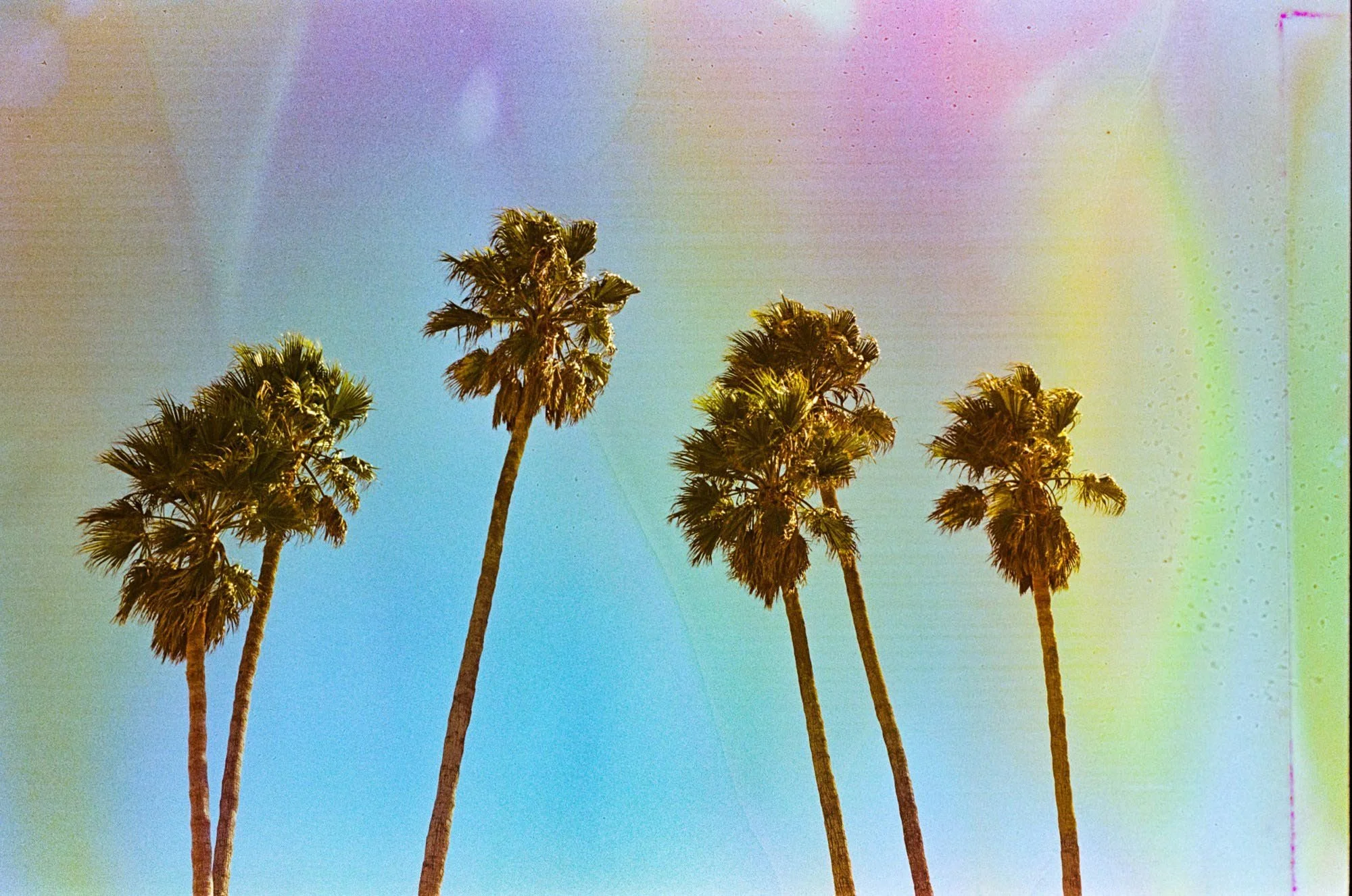 tiburon.October 5 2023 Fuji 200 souped 4-23-162.jpg