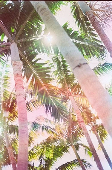 December 18 2025 Fuji 200-b-70 copy.jpg