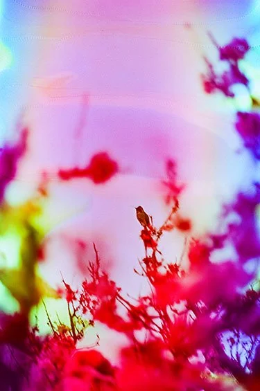 April 16 2024 Ektar-7 copy 2.jpg