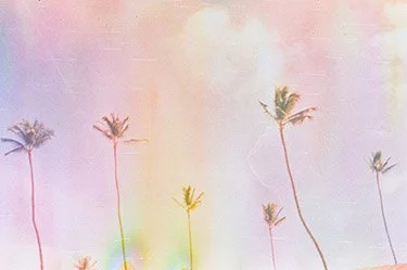 December 18 2025 Fuji 200-b-47 copy.jpg