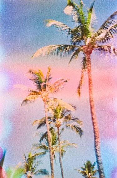 December 18 2025 Fuji 200-b-73.jpg