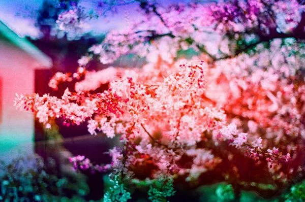 July 11 2024 Fuji 200-53 copy.jpg