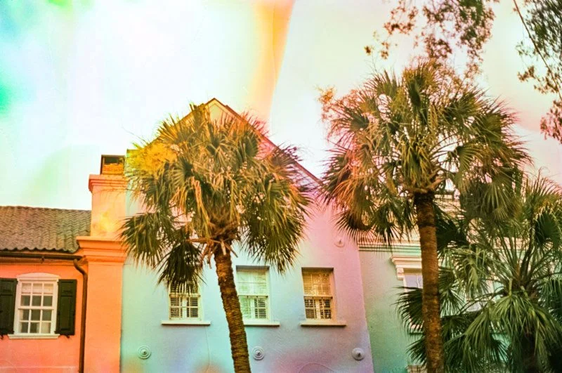 November 30 2022 Ektar-43 copy.jpg