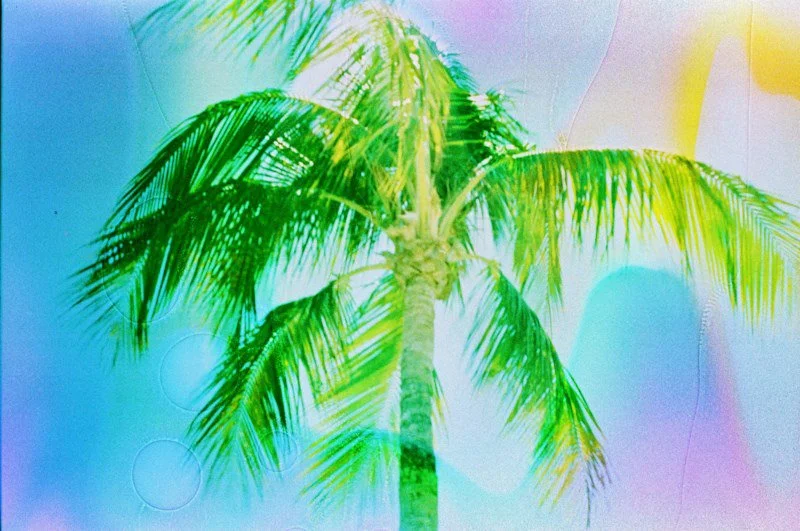 July 1 2022 Kodak Gold 200a-156 copy.jpg