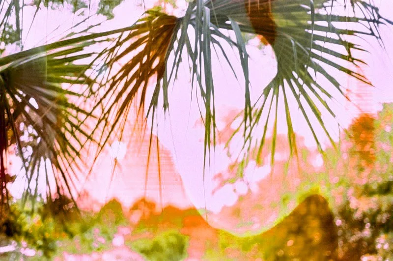 November 30 2022 Kodak Max 400-b-26 copy.jpg