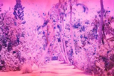 Soup.July 1 2022 Superia XTRA 400b-116 copy.jpg