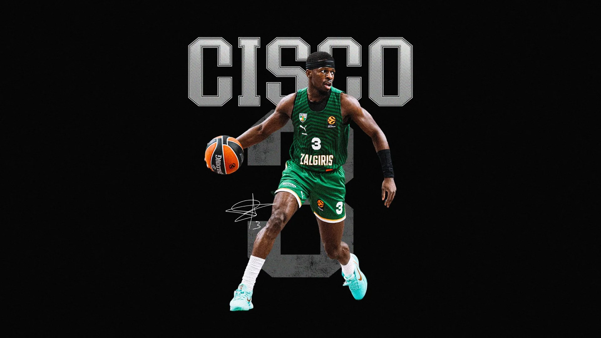Cisco-Collection-4.jpg