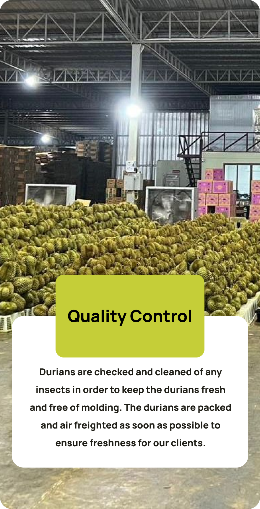 Quality Control_0.png