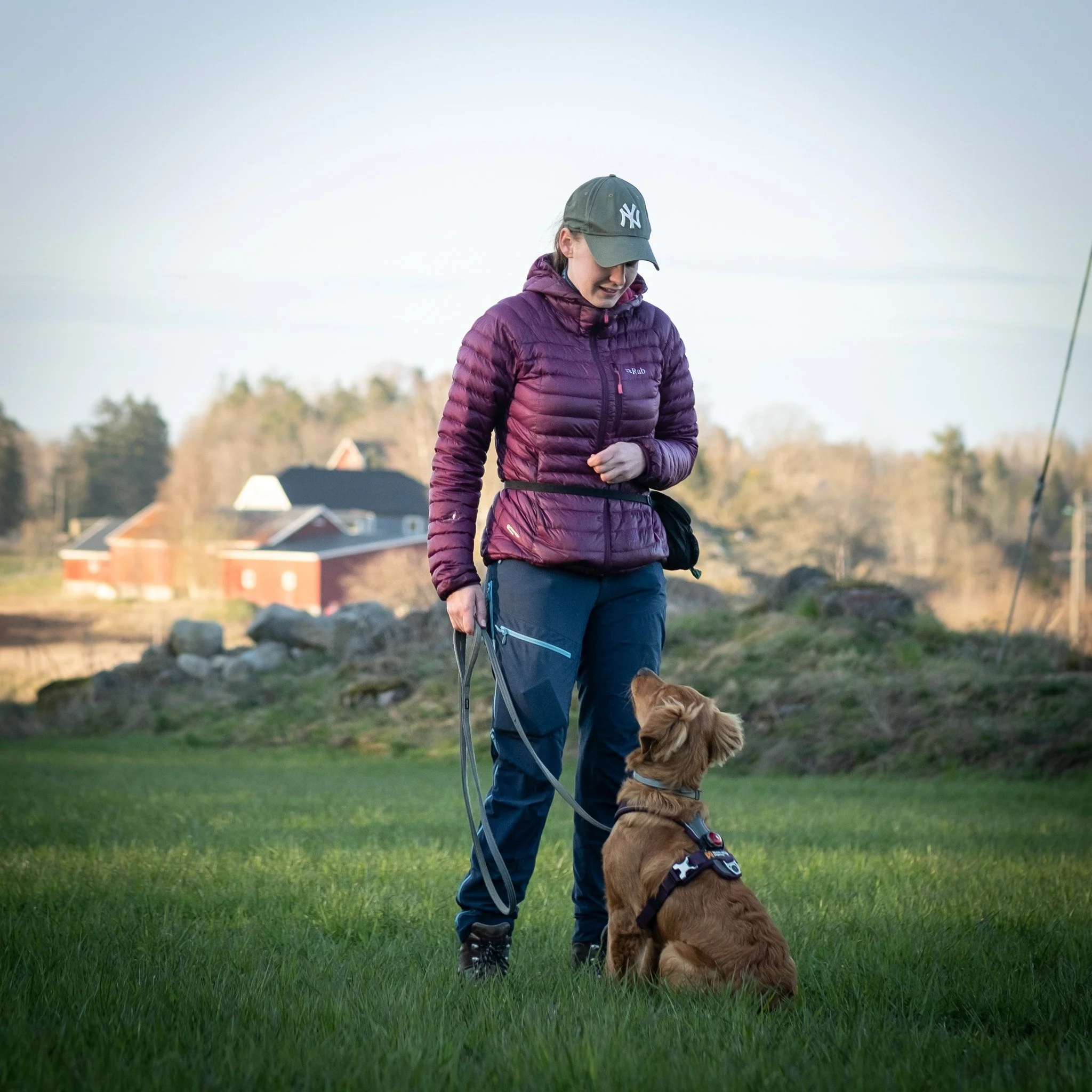 Hundetrening i Praksis 🐾

Har du sett det nye kurset v&aring;rt som starter 7 oktober?
Dette kurset baserer seg p&aring; NoLimitObedience sitt Best med Baner kurs.
Det vil hjelpe deg &aring; ta hundetreningen din til et nytt niv&aring;.
Her skal vi 