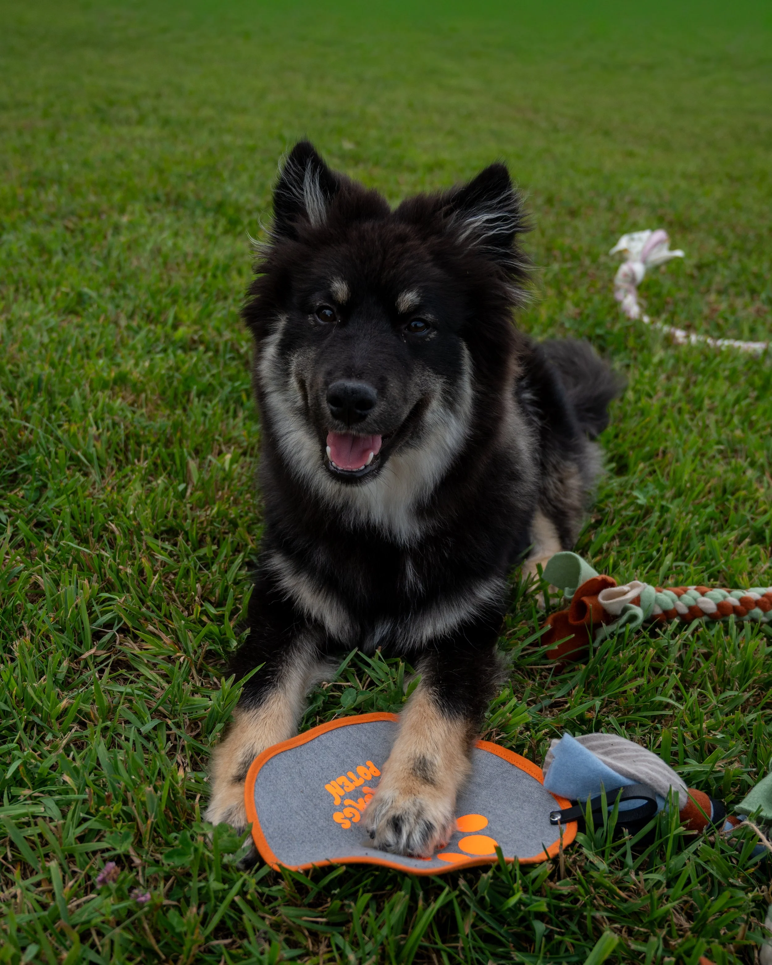 DS6_3472.jpg