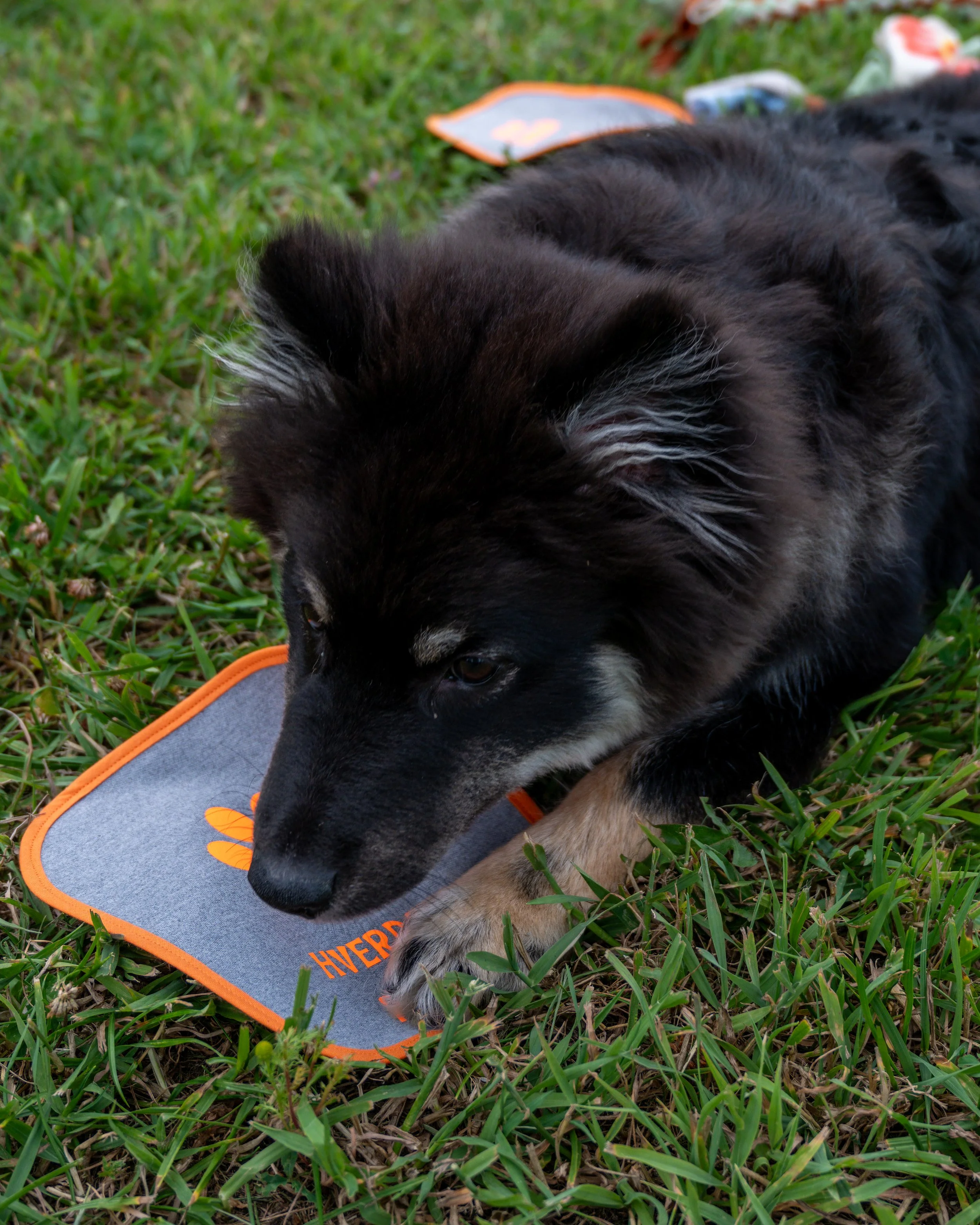 DS6_3523.jpg