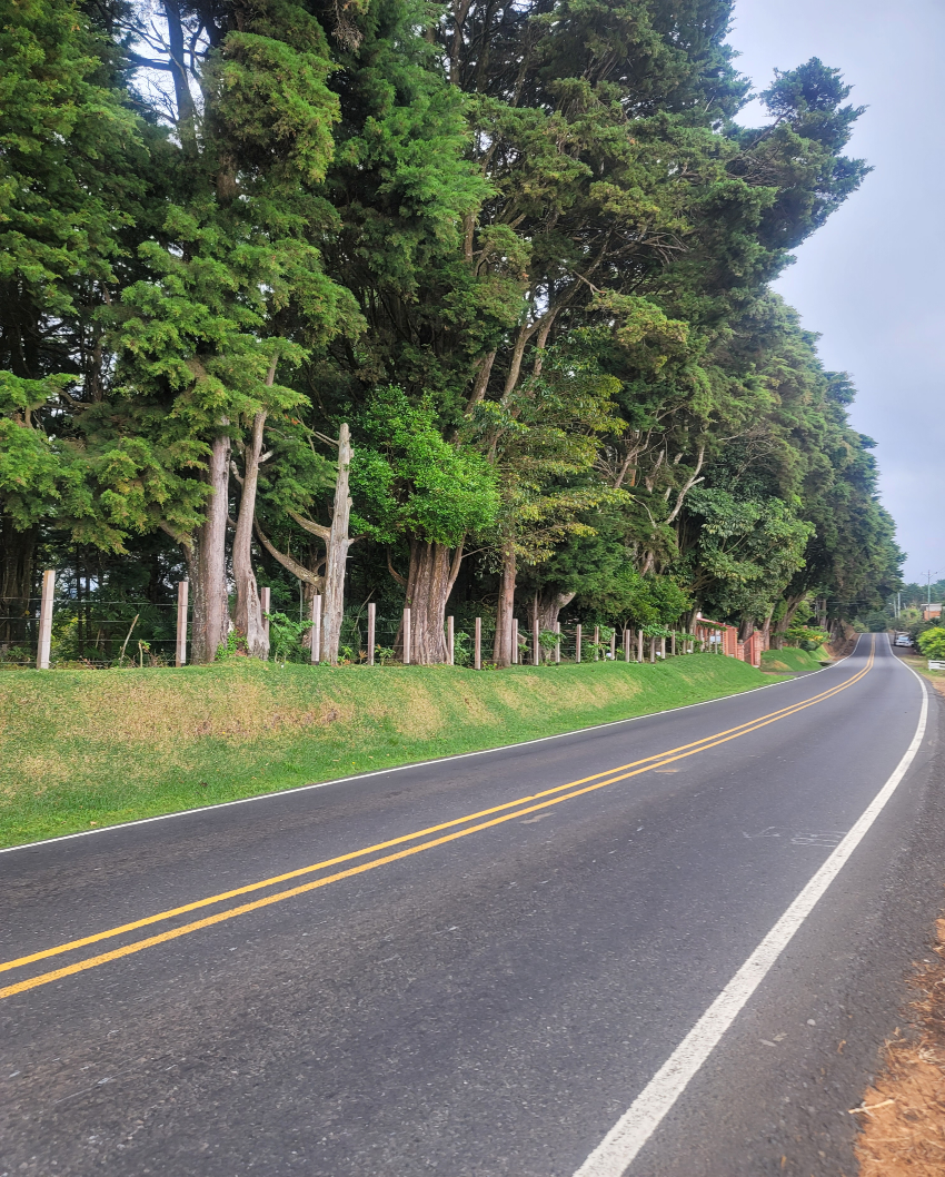 Plans, Paths, and Process: What a Road Trip Taught Me