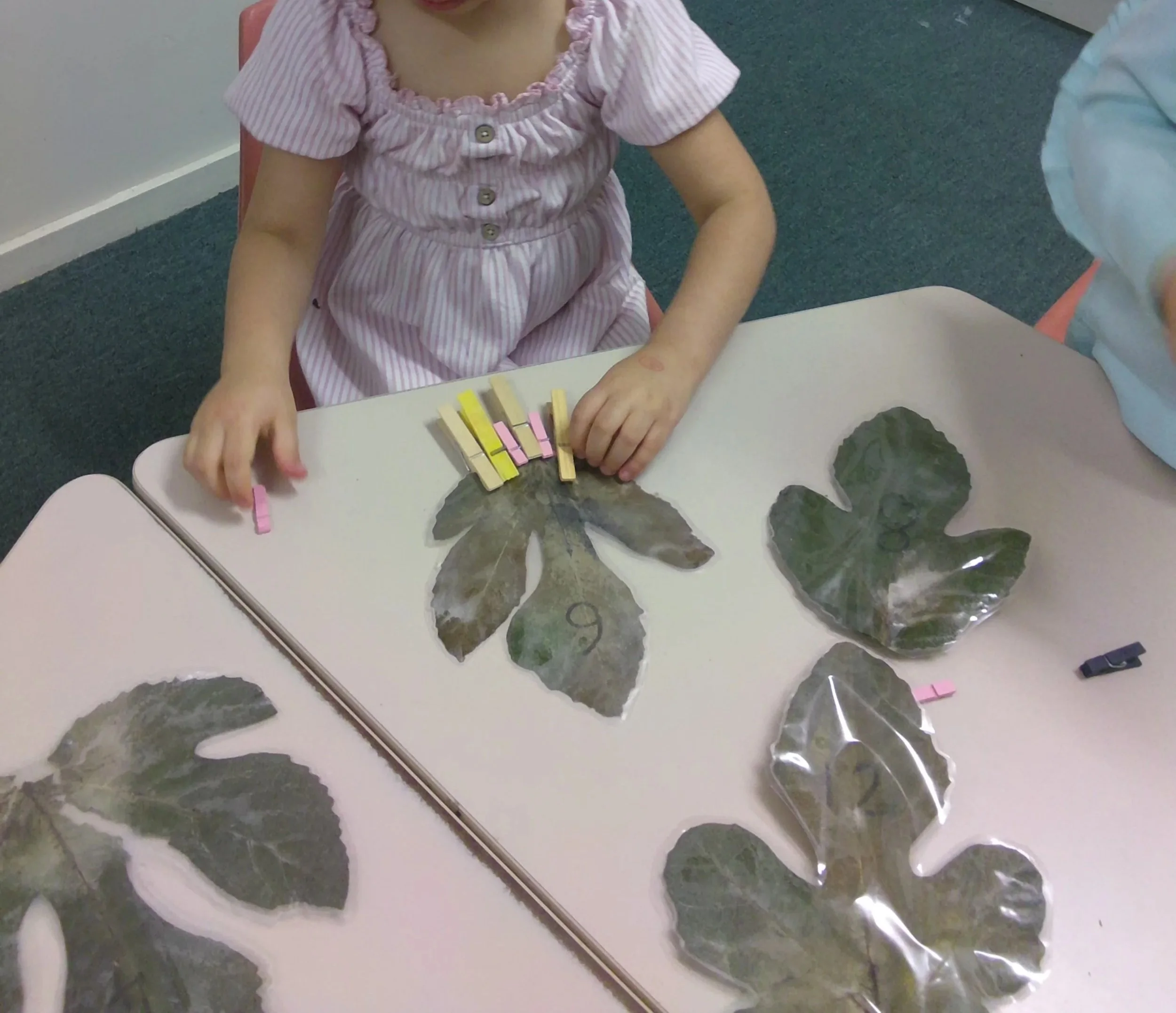 Kinder Activity: Numeracy Activity using Pegs