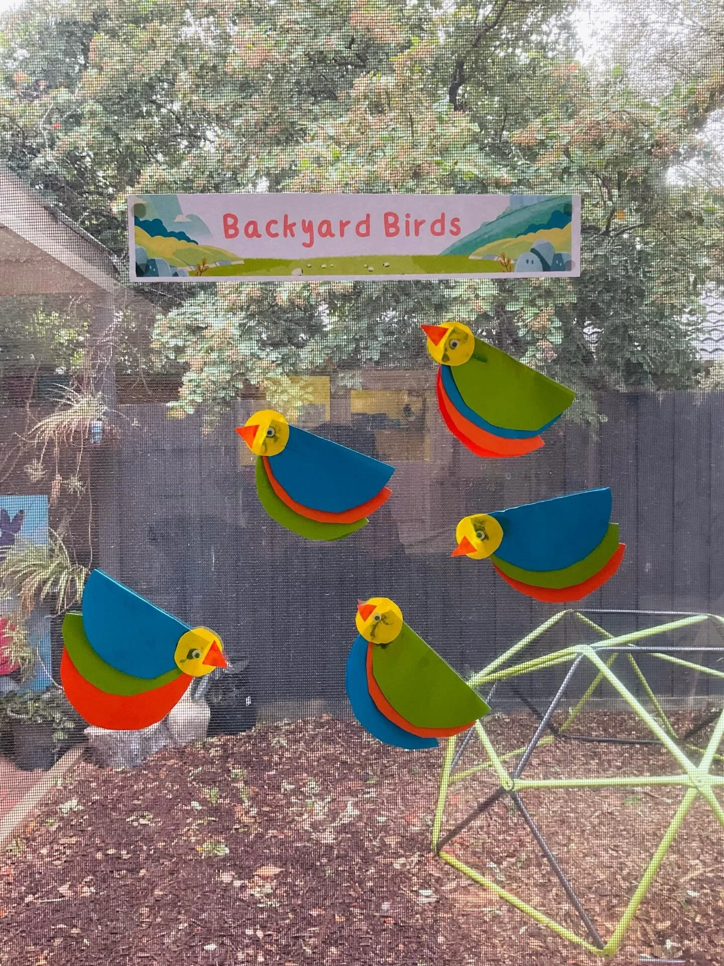 Inspired by the story &ldquo;Backyard Birds&rdquo; by Helen Milroy, children created their own paper birds.This craft extended our tuff tray experience related to the book and encouraged creativity and fine motor development. Children explored differ