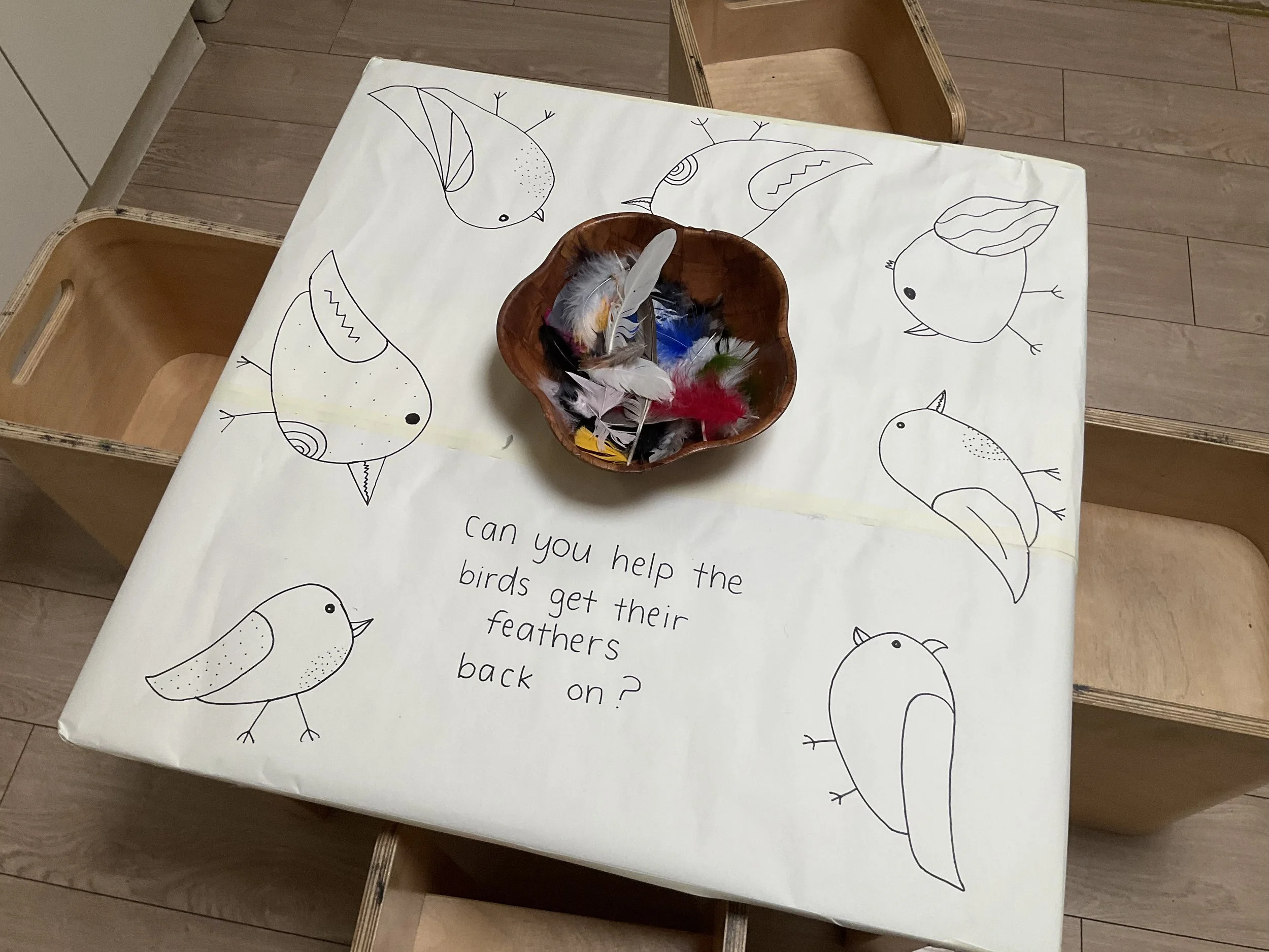 "Can you help the birds get their feathers back on?"