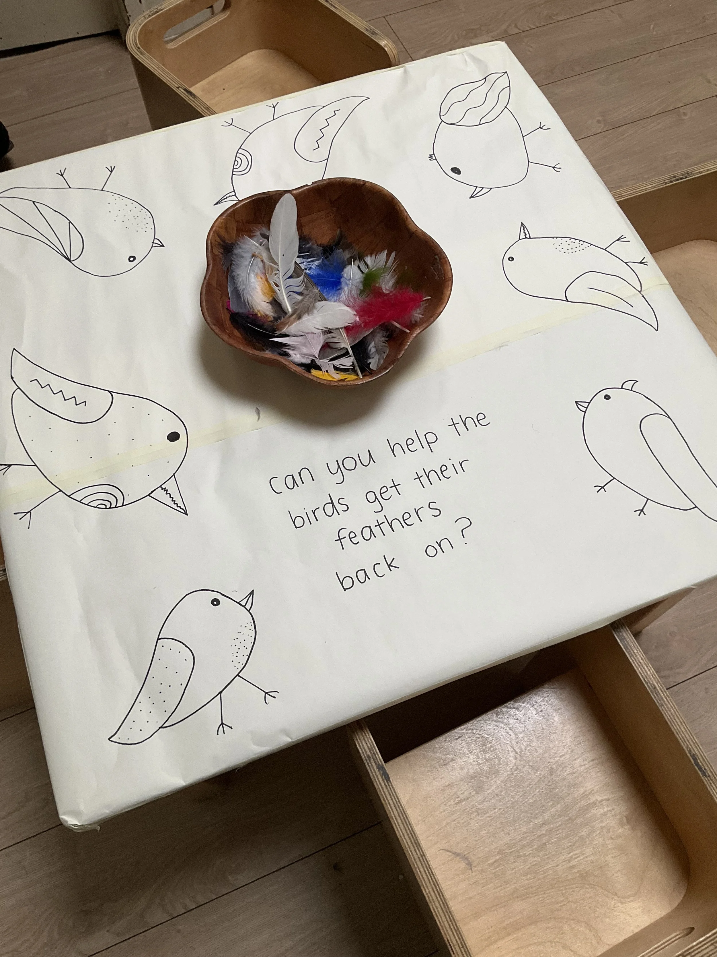 "Can you help the birds get their feathers back on?"