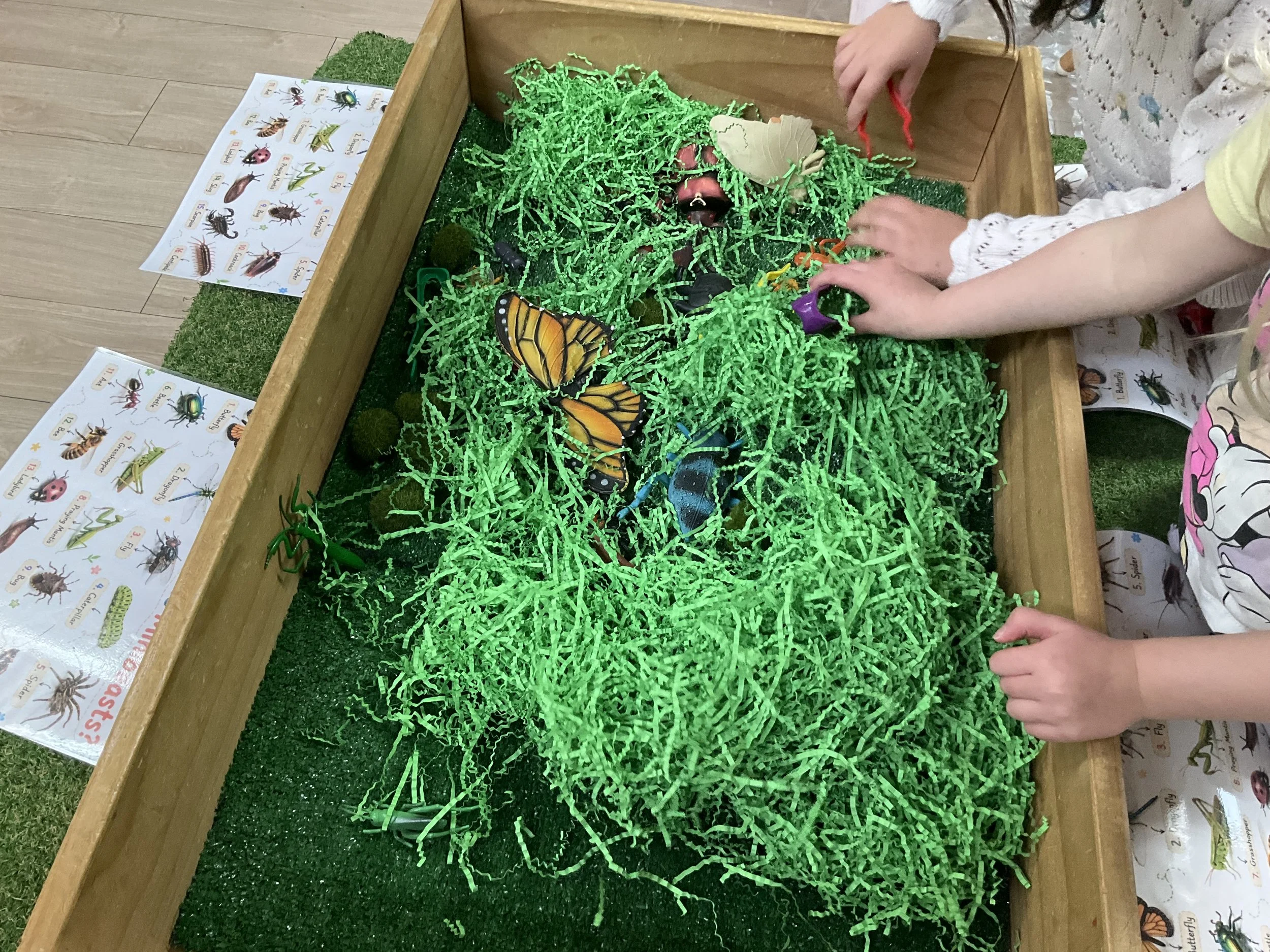 Children playing with toy insects and butterflies in a wooden box filled with green shredded paper, with insect reference charts on the side.