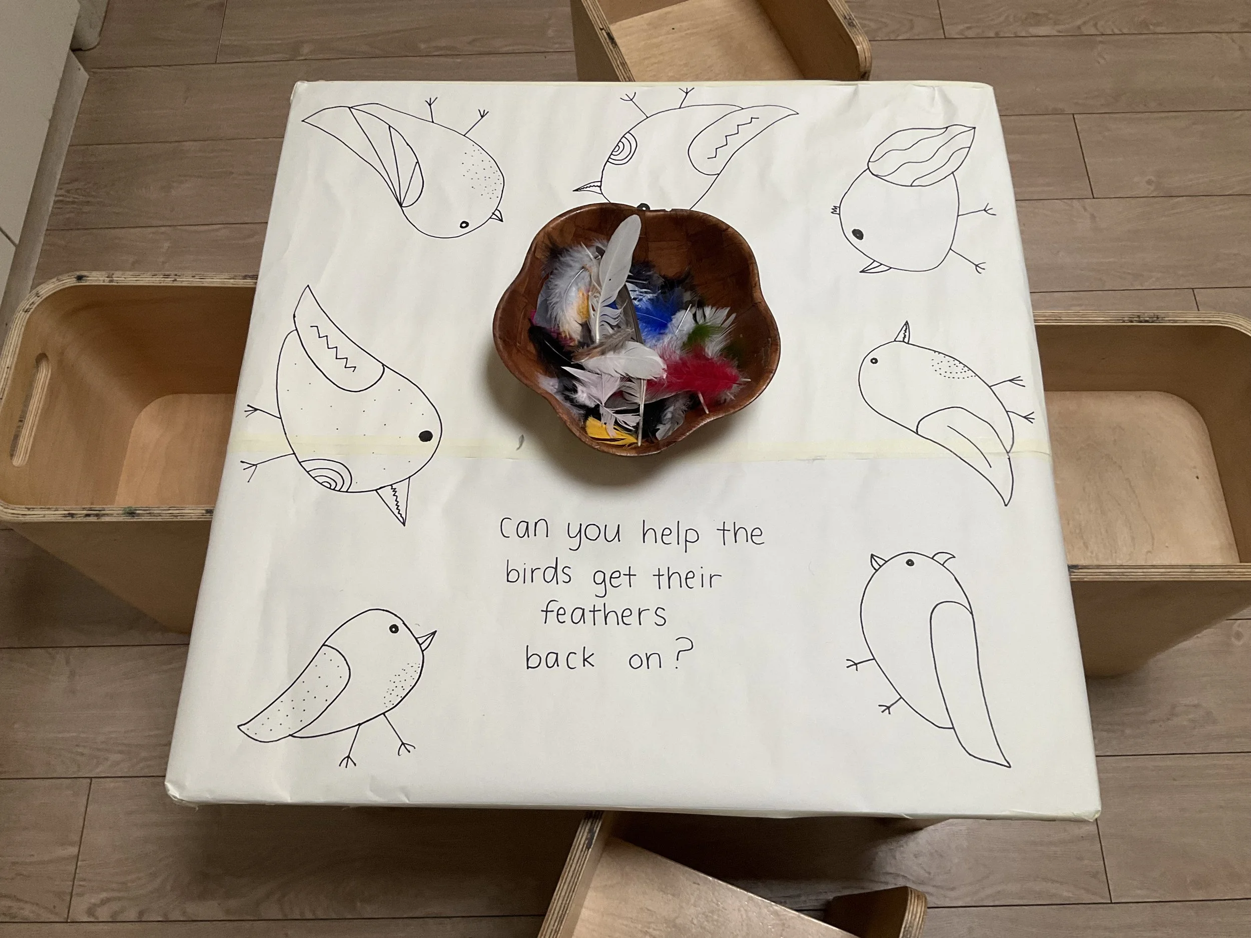 "Can you help the birds get their feathers back on?"