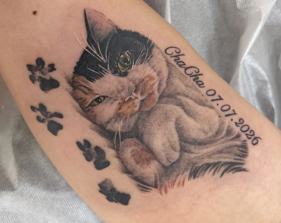 Ryu realistic cat.jpg