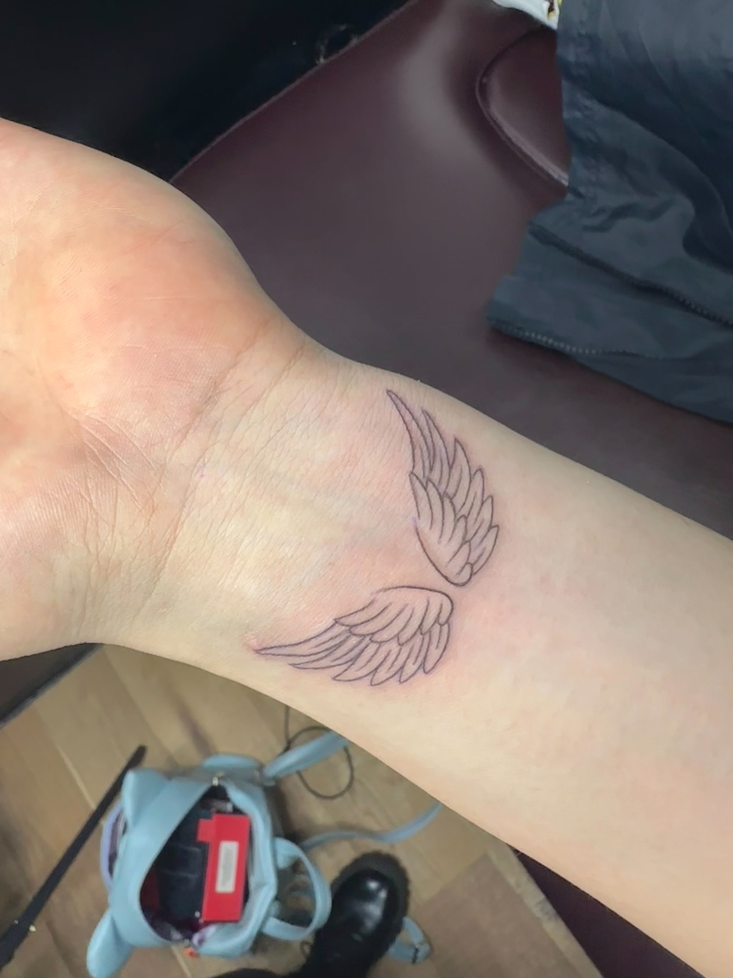 V fineline wings.jpeg