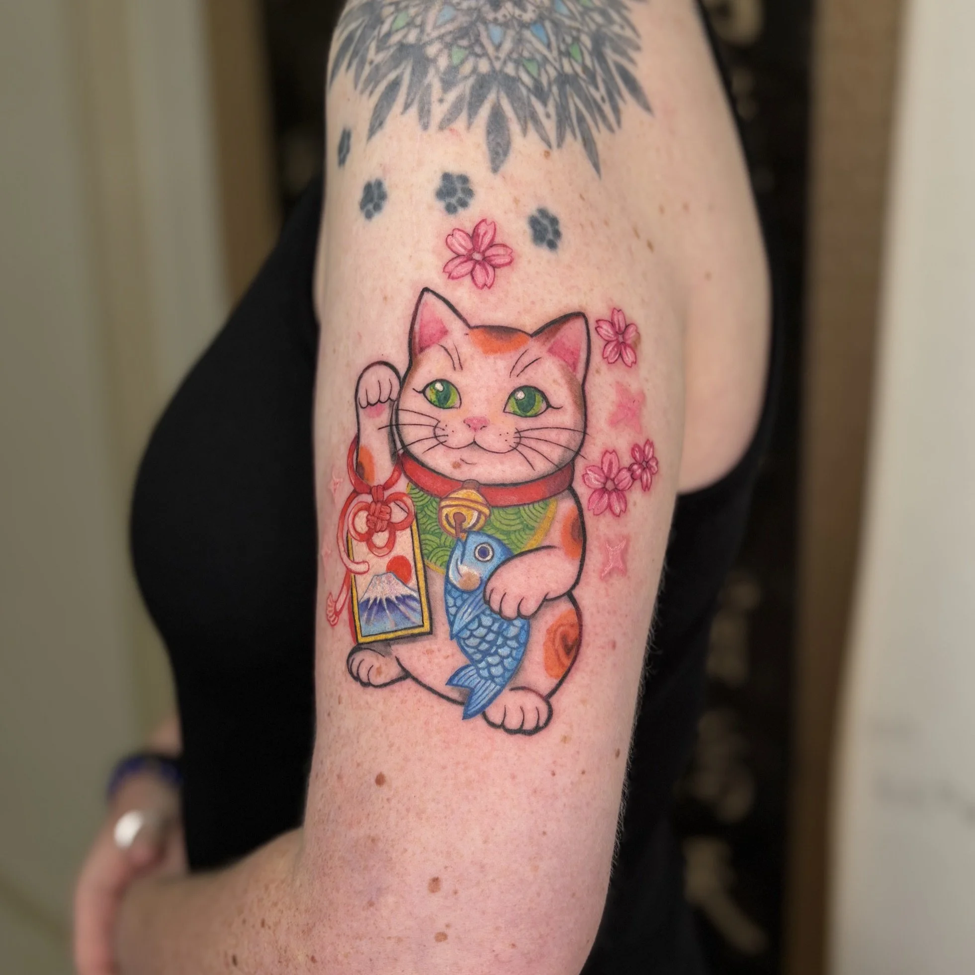color lucky cat.jpeg