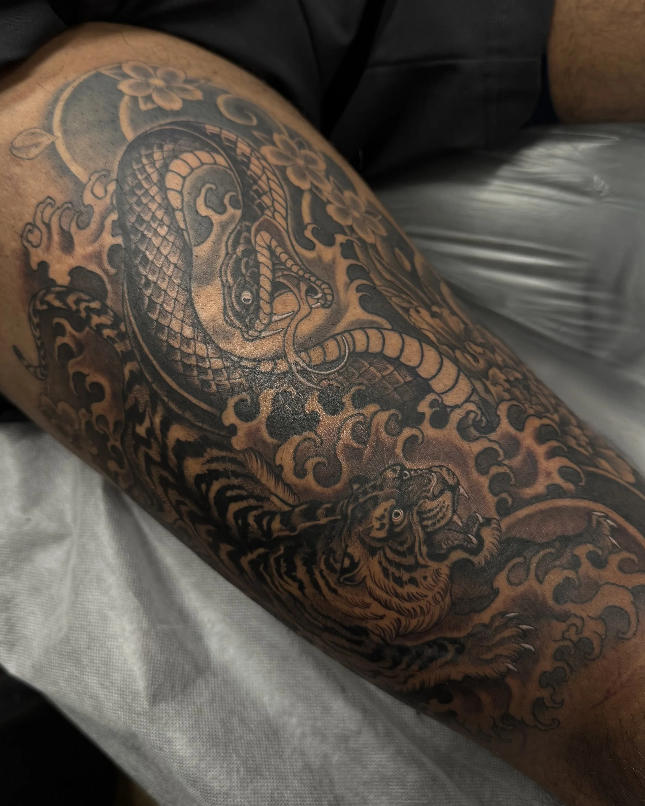 tiger snake.jpeg
