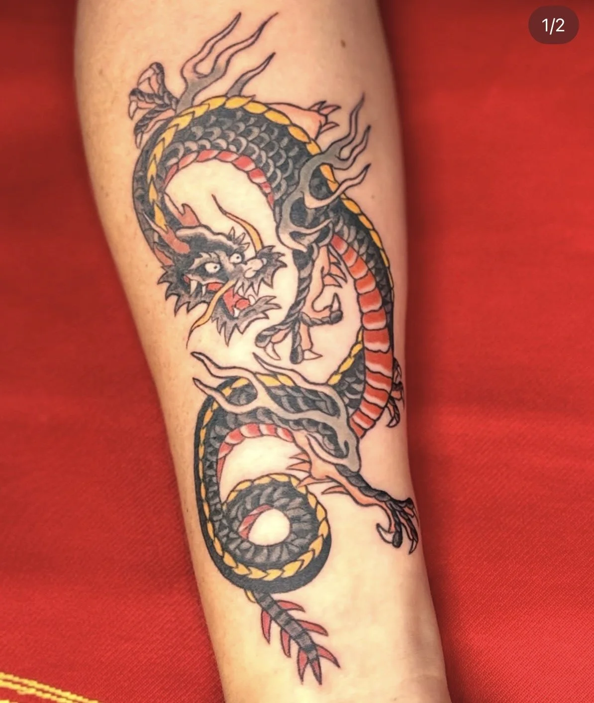Lika color dragon.jpg