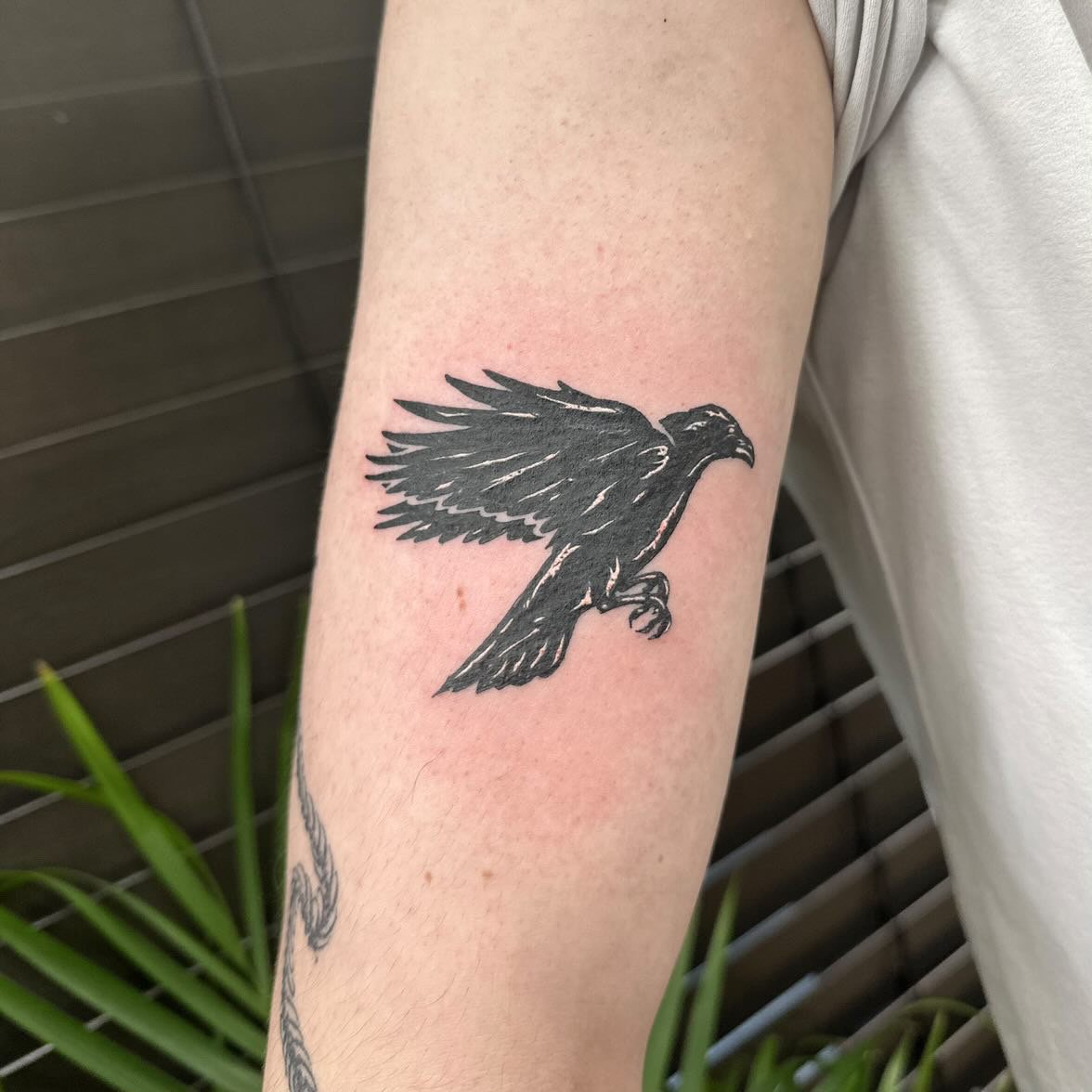 M black crow.jpeg