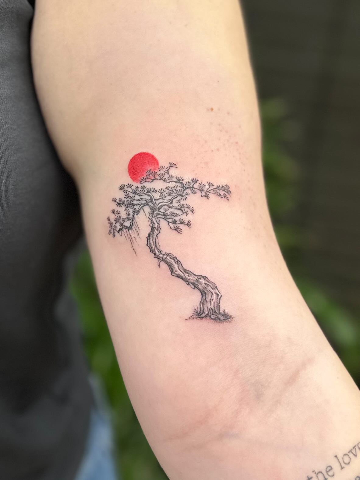 M bonsai tree red sun.jpeg
