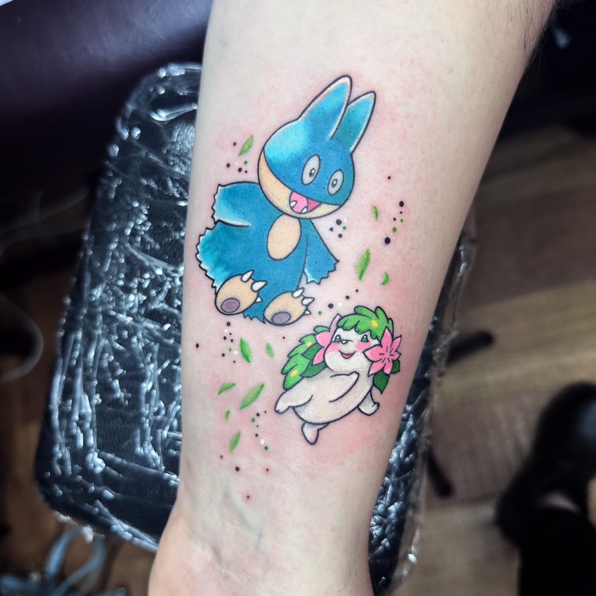 V snorlax leaves.jpeg
