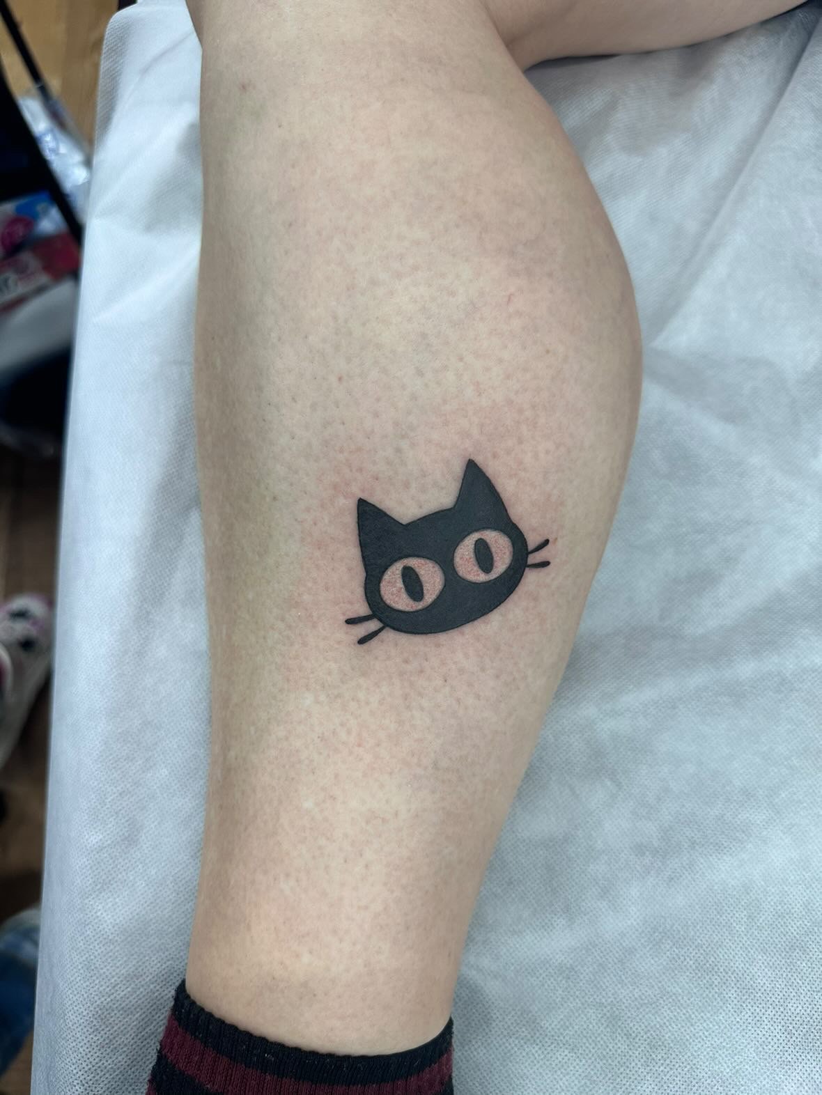 black cat.jpeg