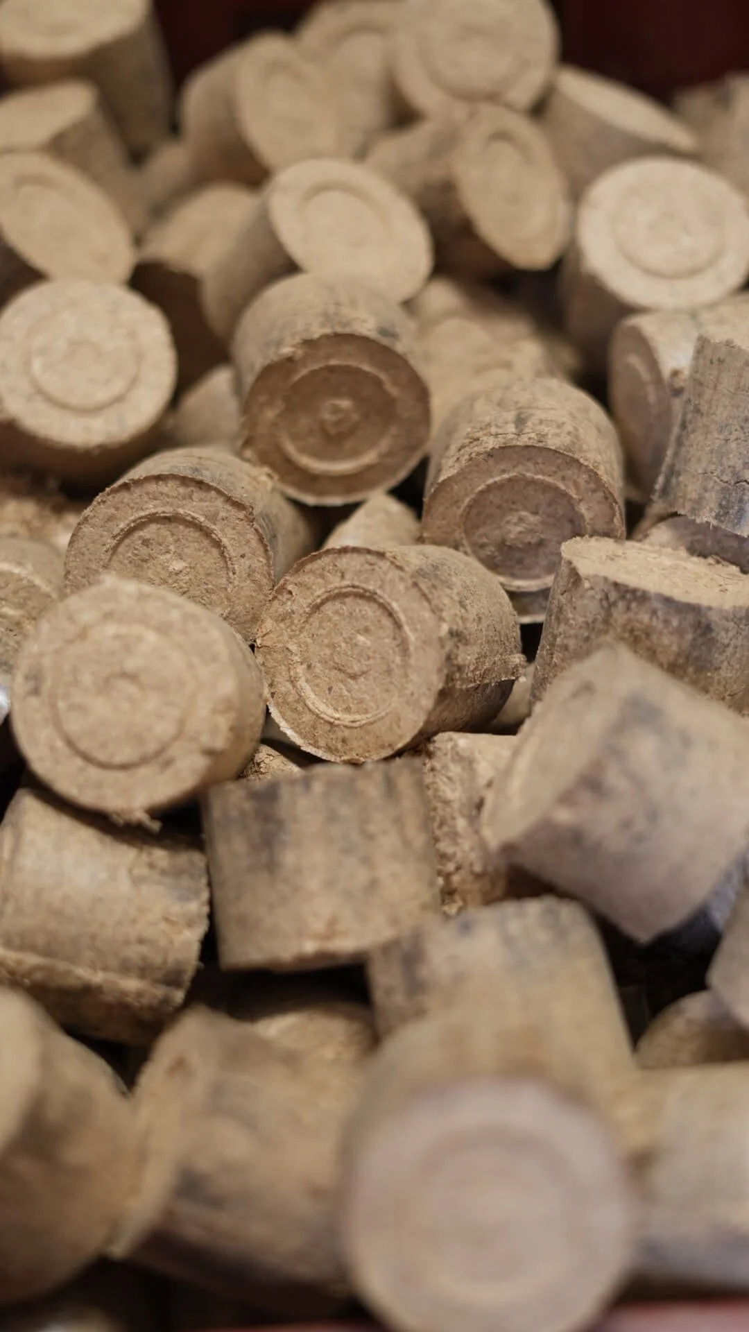 Recyclage des déchets de bois sous forme de briquettes