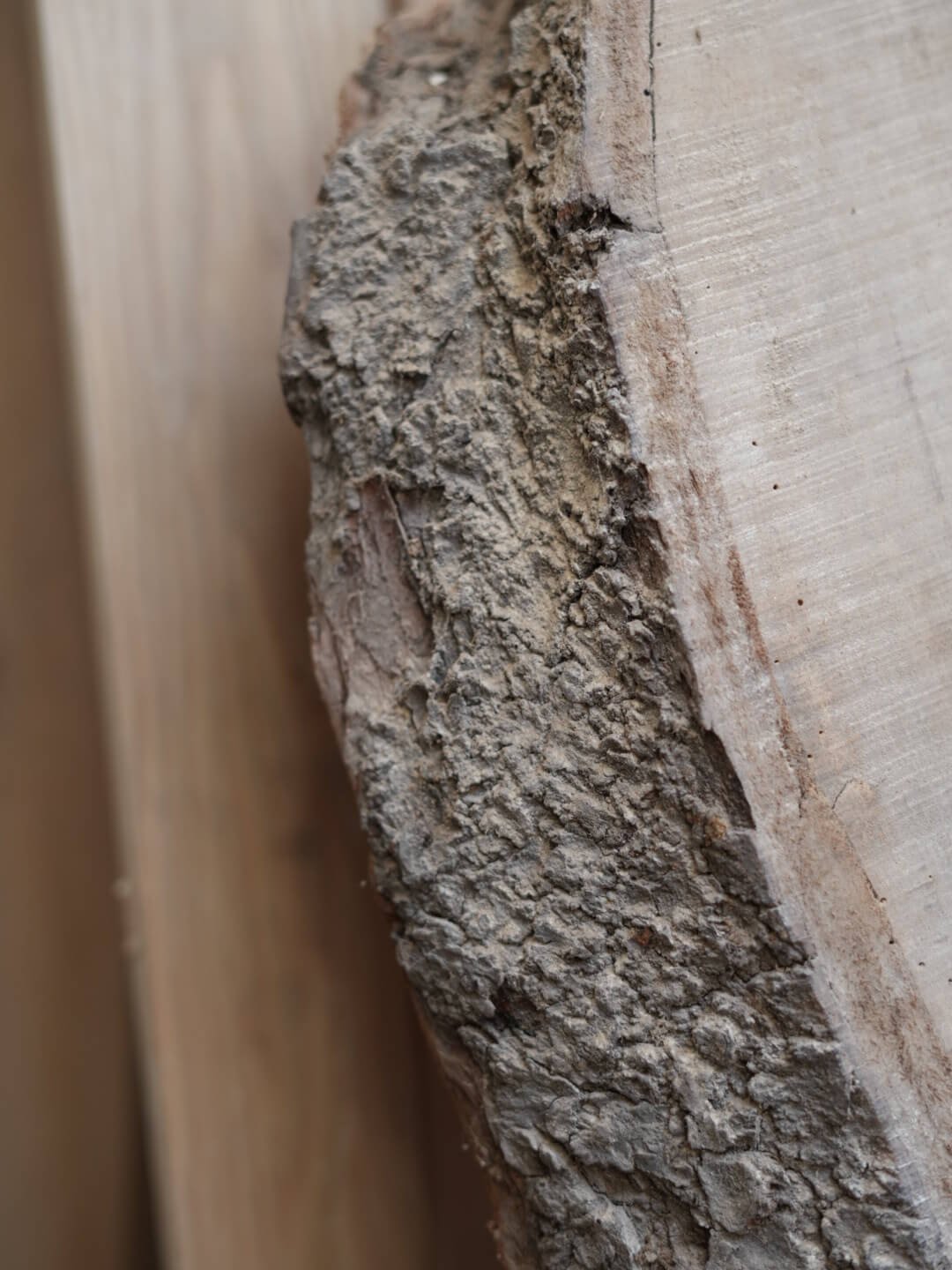 Zoom sur une planche de bois massif