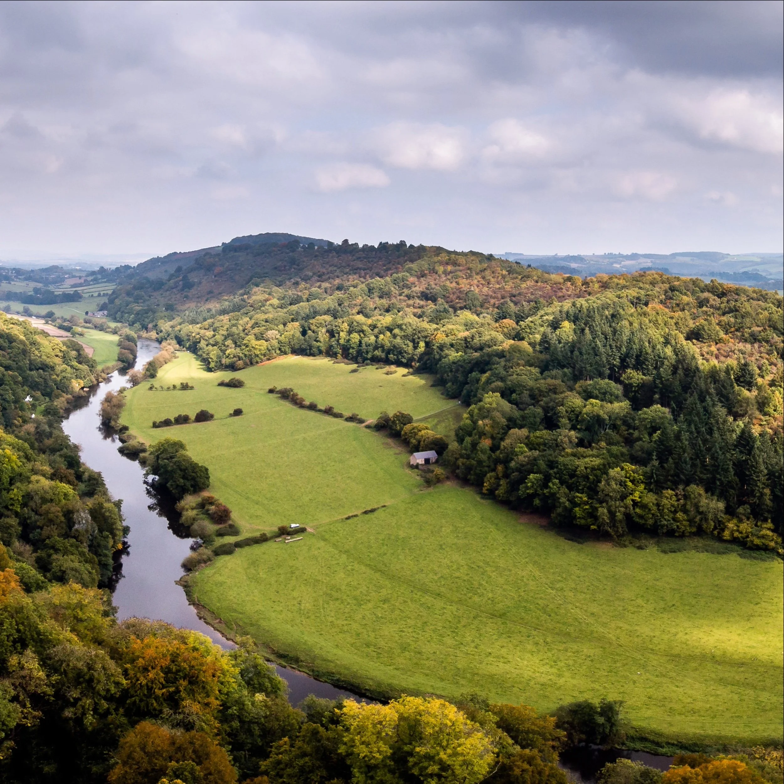 Forest of Dean Mountain Bike Guided Day