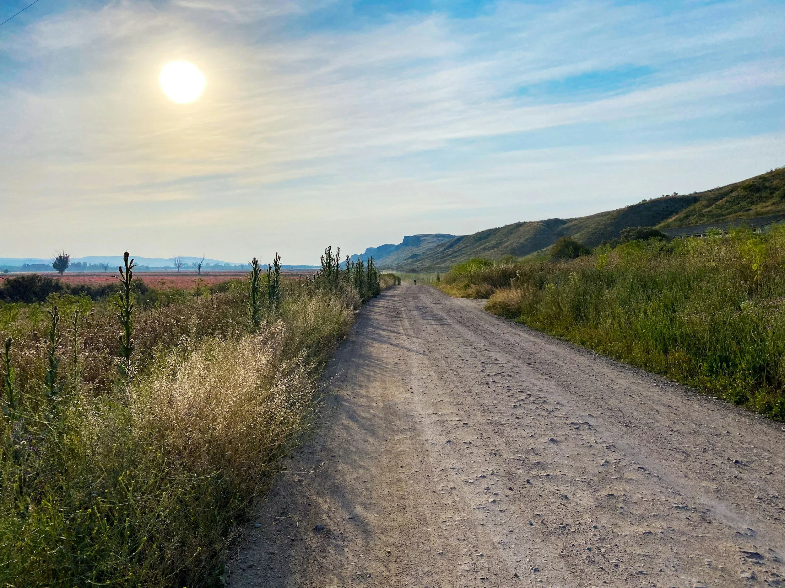 A dirt road running through a rural landscape with green shrubs and plants on both sides, hills in the background, and a partly cloudy sky with the sun shining.