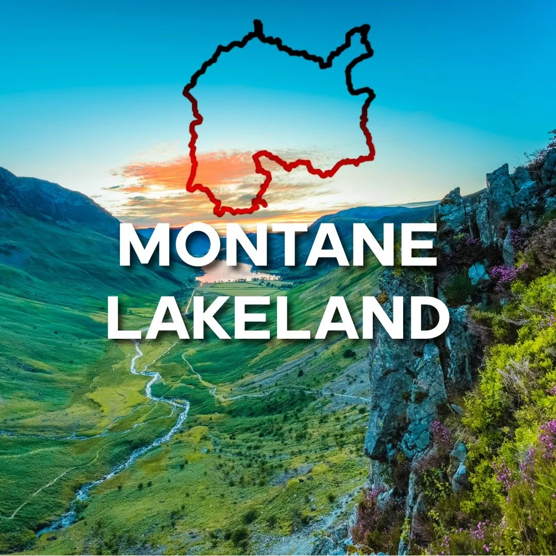 Product Images-3 (1).jpeg