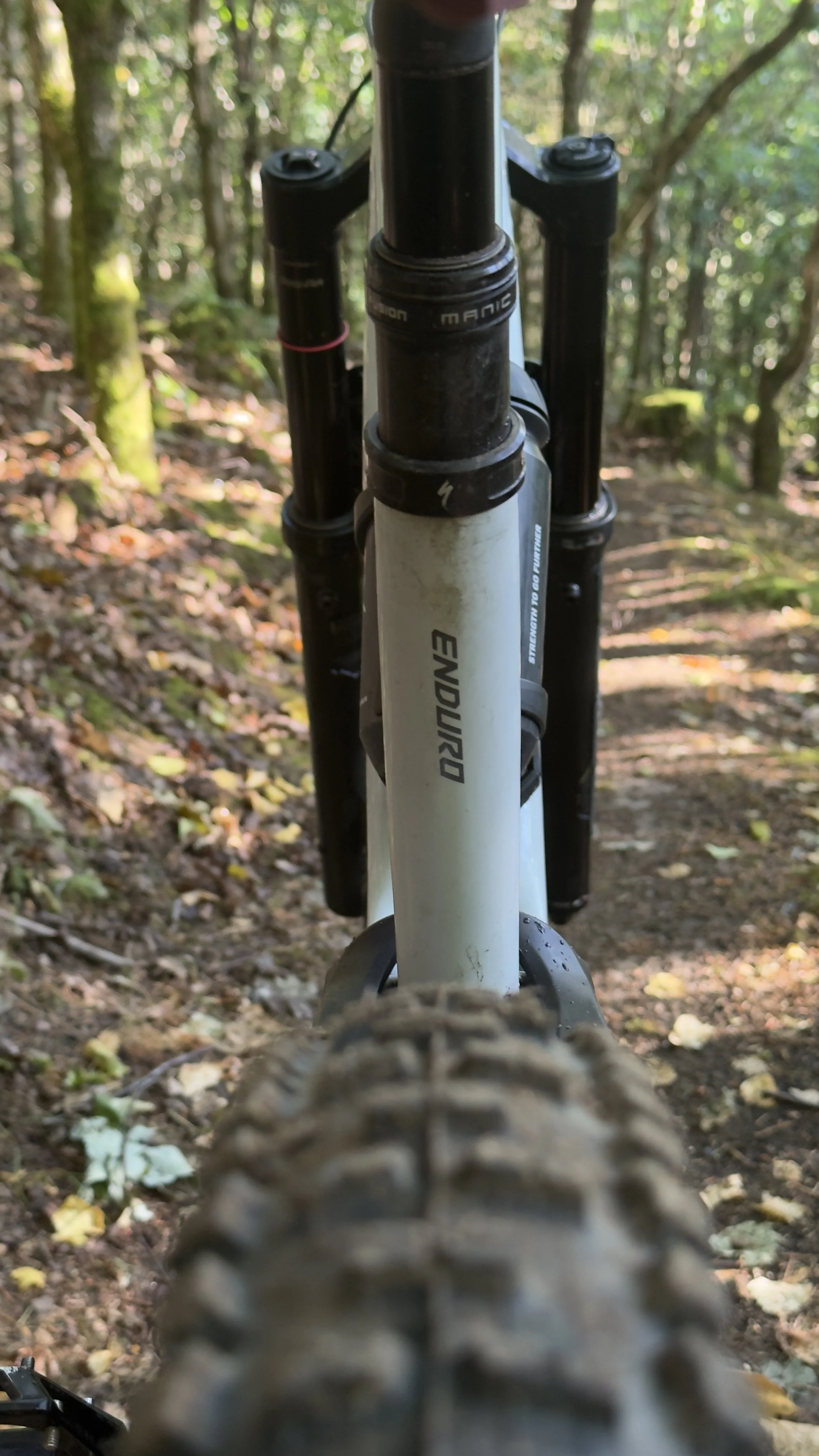 Close-up view of a mountain bike's front suspension fork taken from the perspective of the front wheel, on a forest trail with trees and fallen leaves.