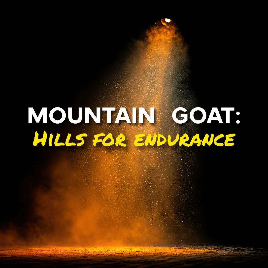 Product Images-3 (2).jpeg