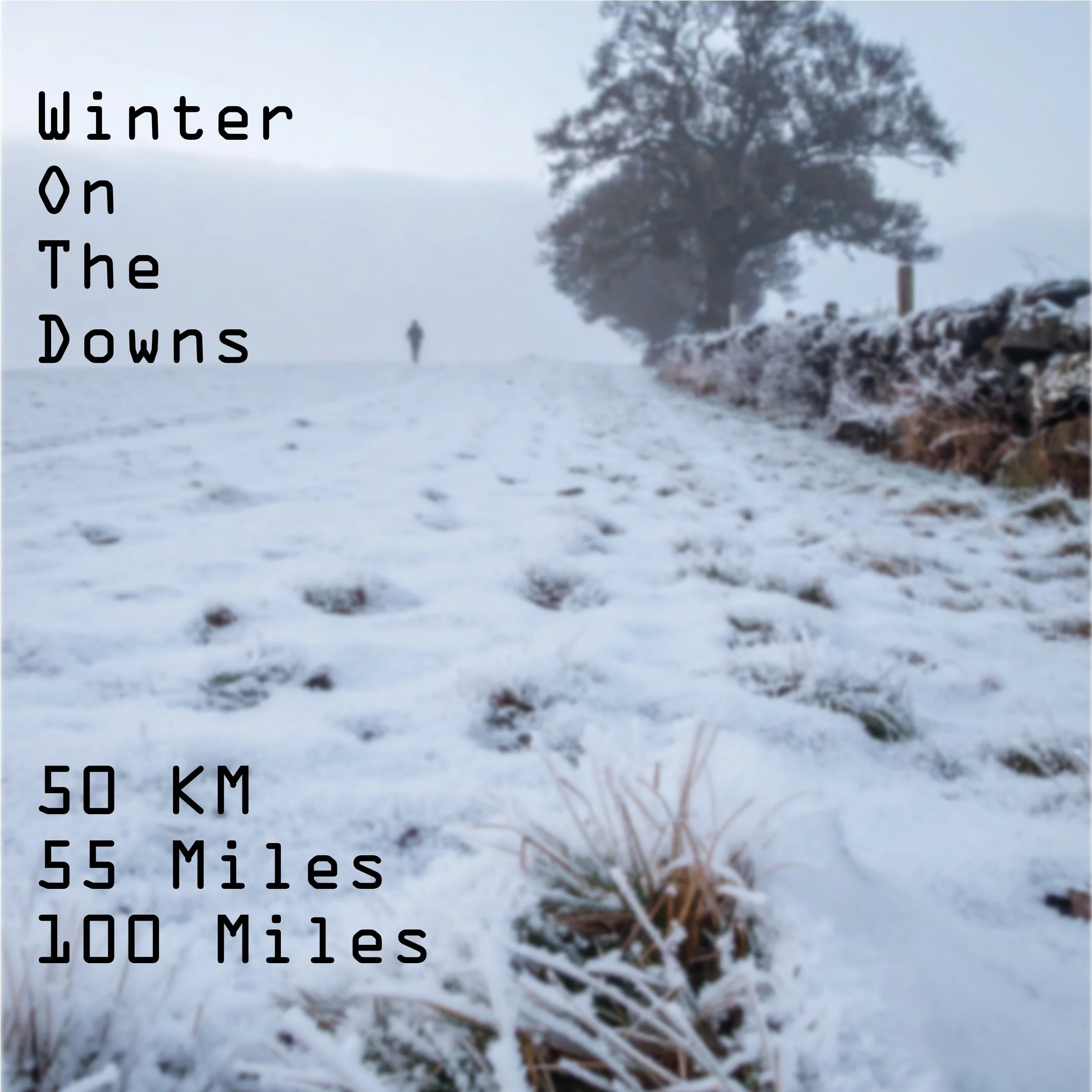 Winter On The Downsjpeg.jpeg