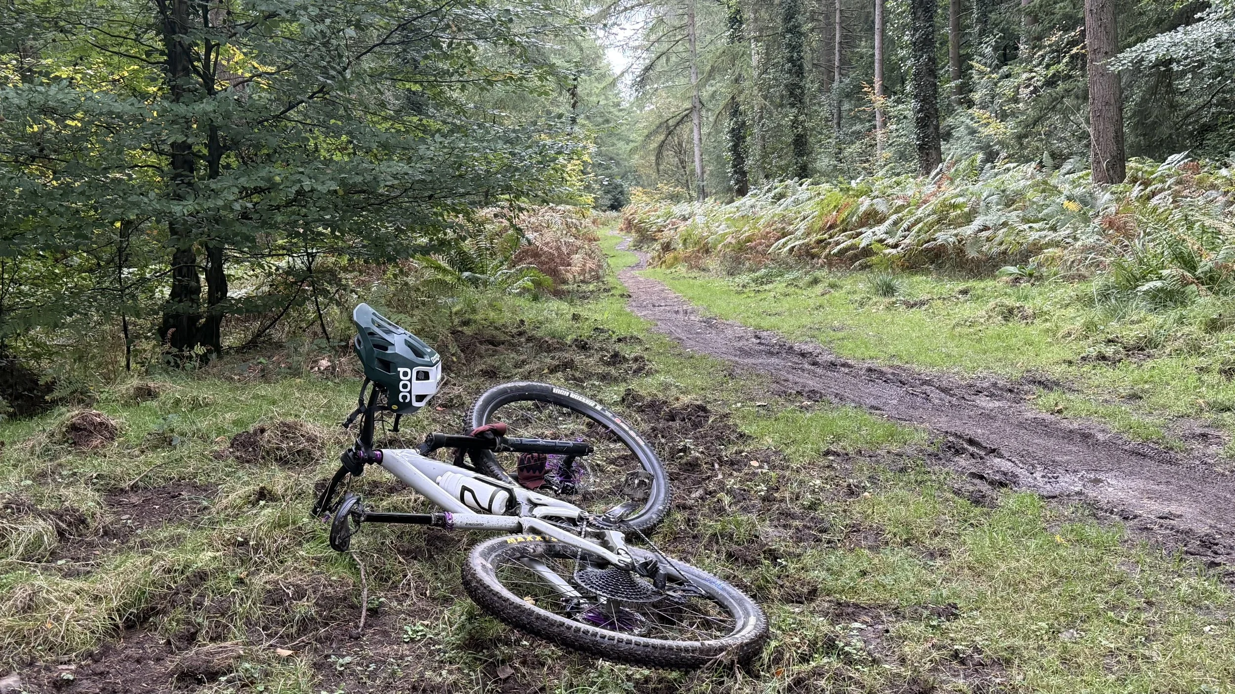 A fallen mountain bike lies on the muddy trail of a forest path surrounded by trees and ferns.