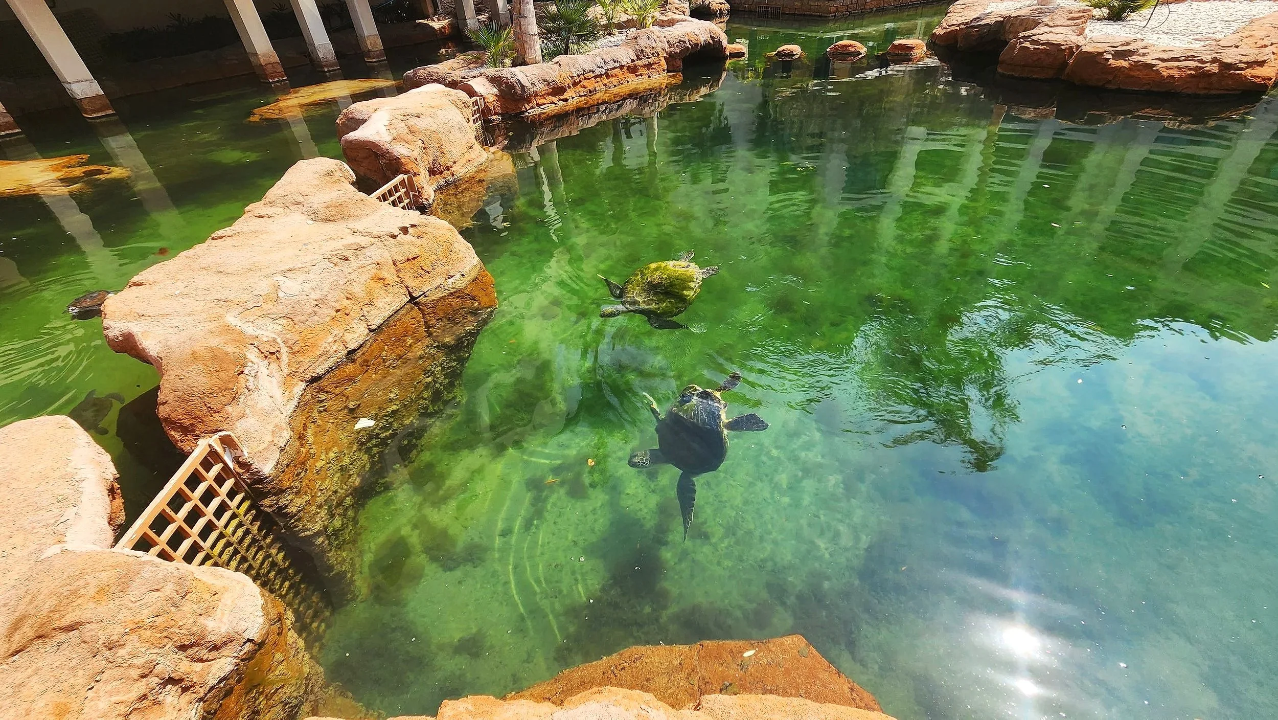 20250314_111006 - Copy.jpg