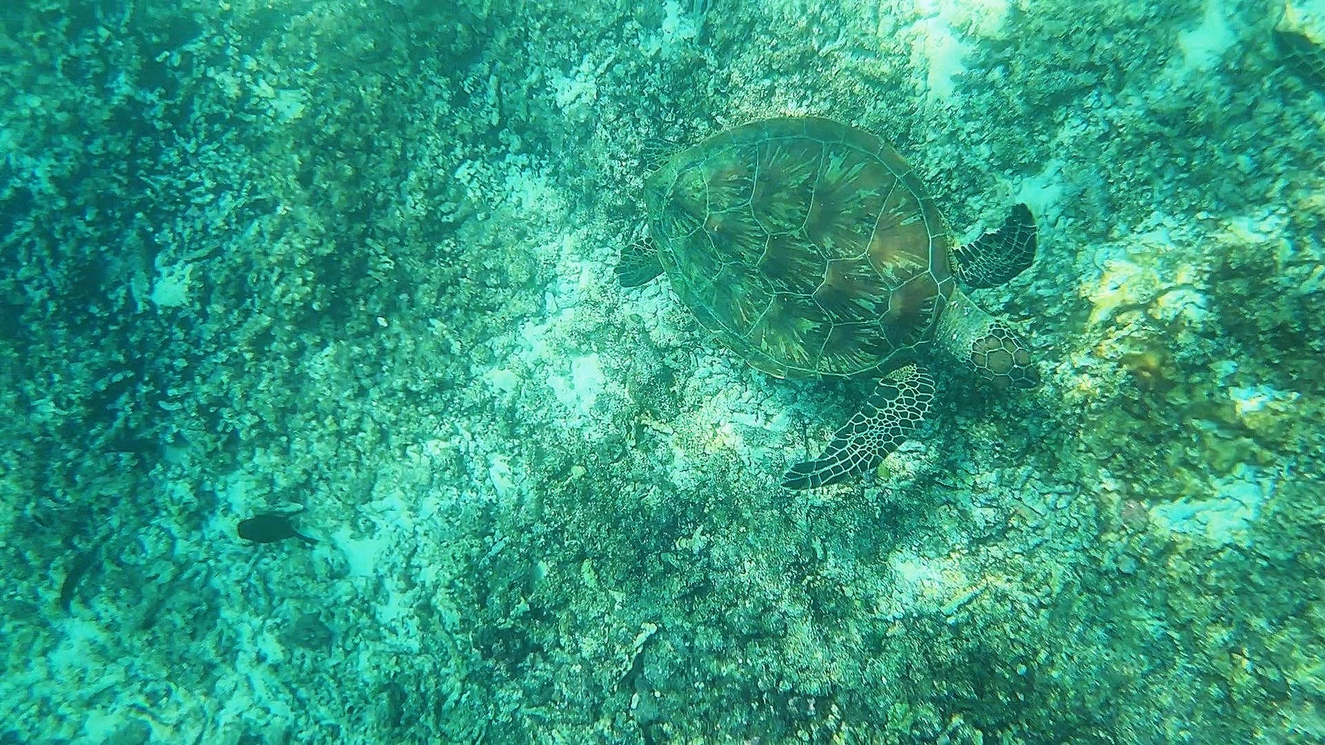 20241023_113341 - frame at 0m25s.jpg