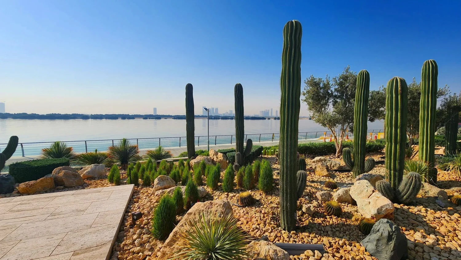 Cactus Park  UAE TravelMom