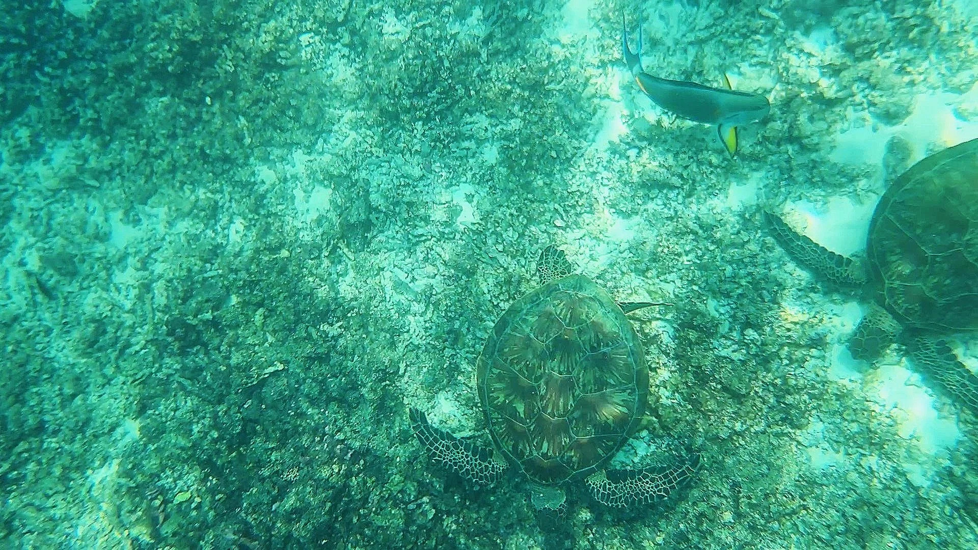 20241023_113341 - frame at 0m27s.jpg